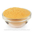 Bio Goji Berry gefriergetrocknetes Pulver Goji Berry Powder